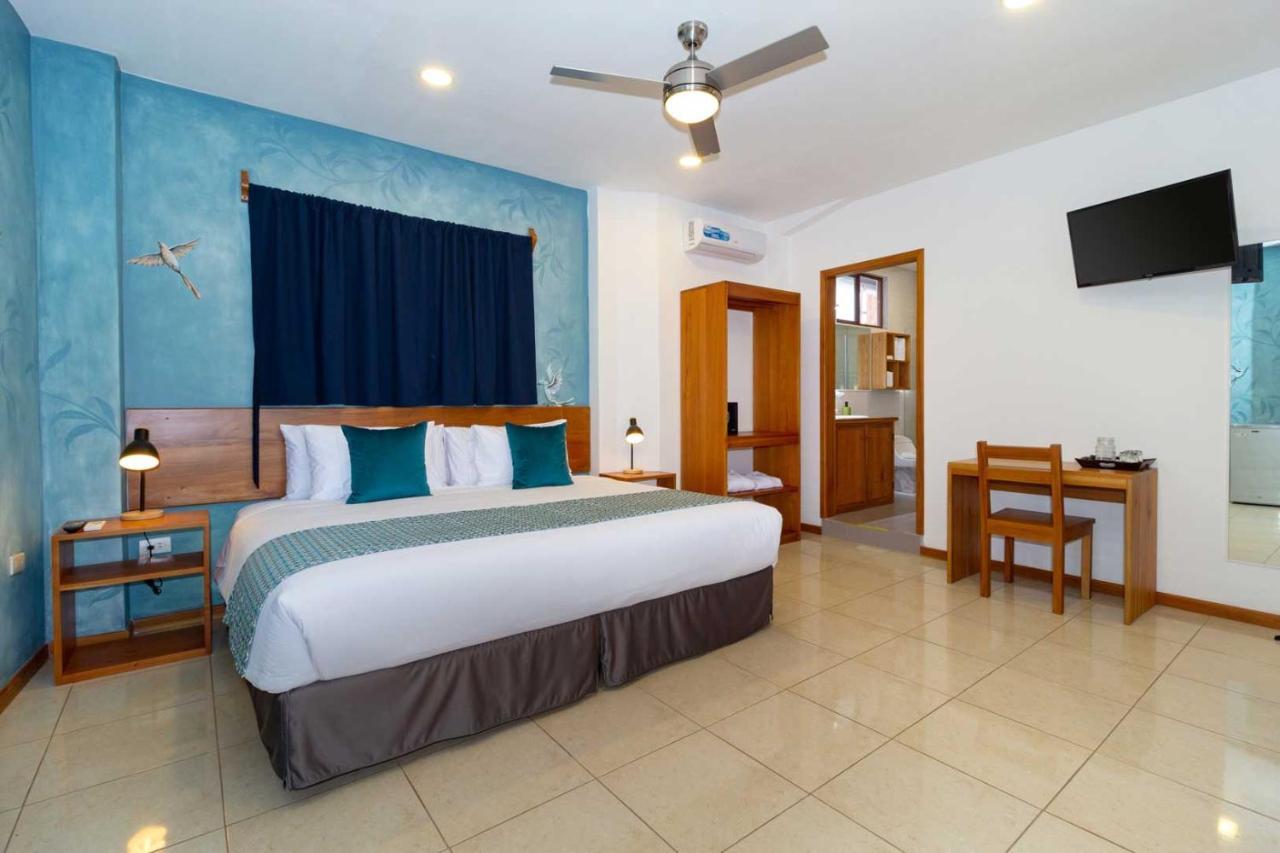 Plaza Luna Suites بويرتو أيورا المظهر الخارجي الصورة